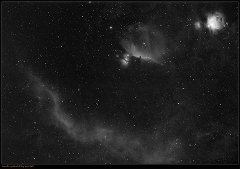 Barnard's Loop